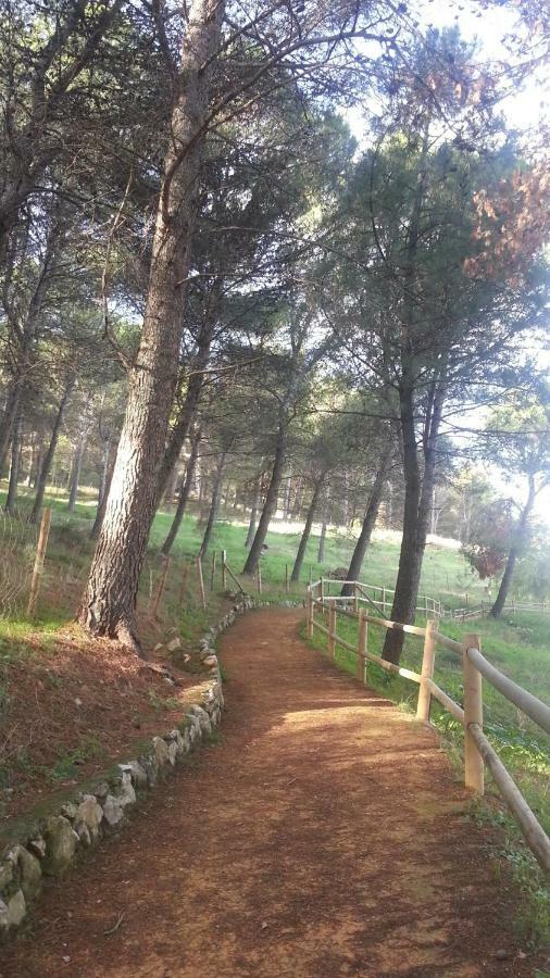 El Duende Del Tejar Hotel El Gastor Buitenkant foto